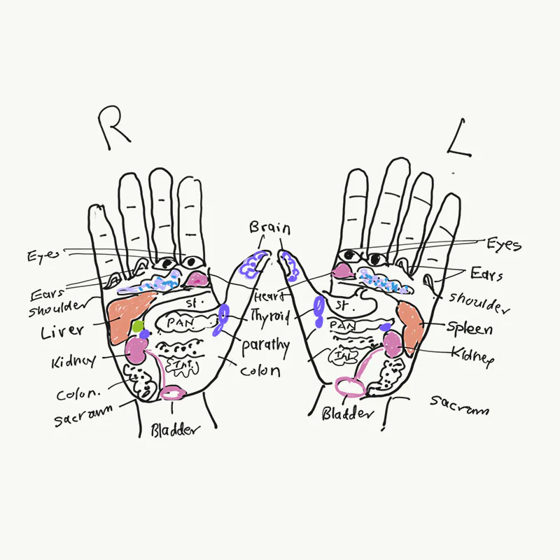 Ayurvedic Palmistry - Medicine in the Palm of your Hand - Image 2