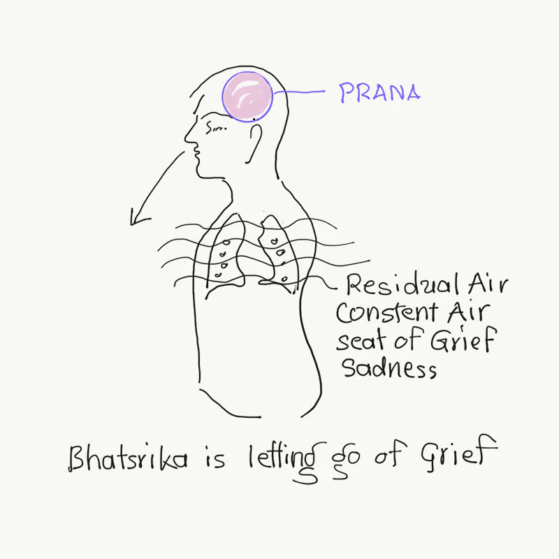 Breathe Easy: Grief Relief for Lung Health - Image 2
