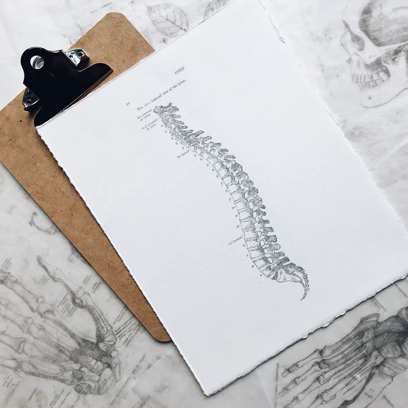 Feel It in My Bones: Asthi Vaha Srotas - The Channel of the Bone