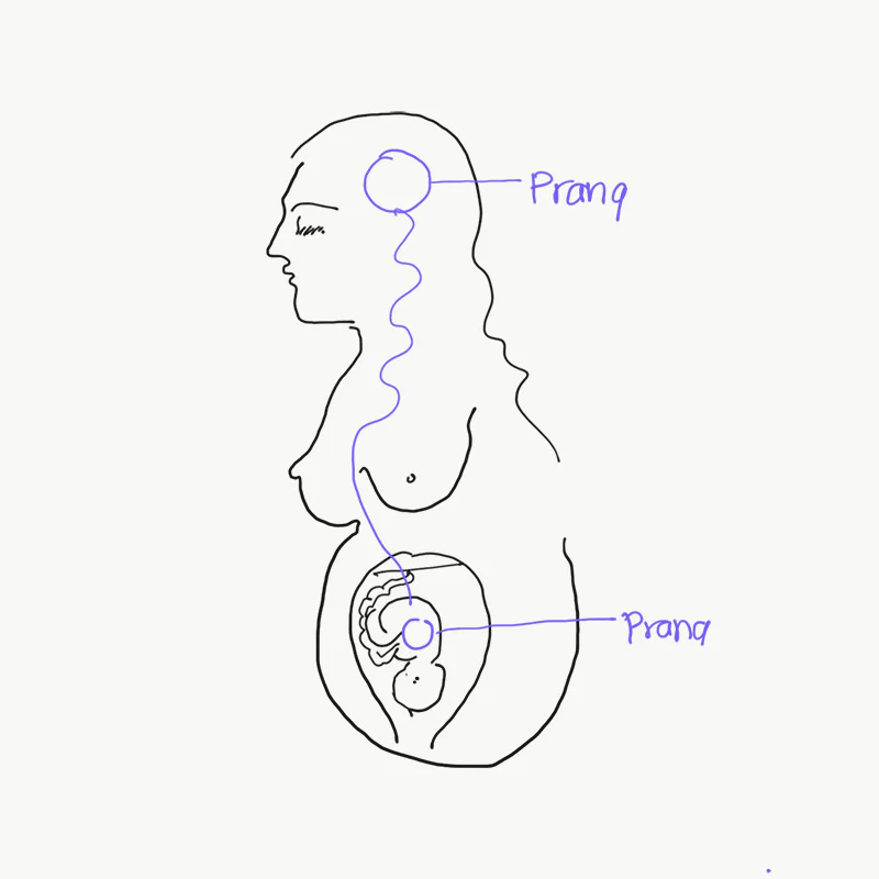 Nurturing Reproductive Health: An Ayurvedic Approach - Image 2