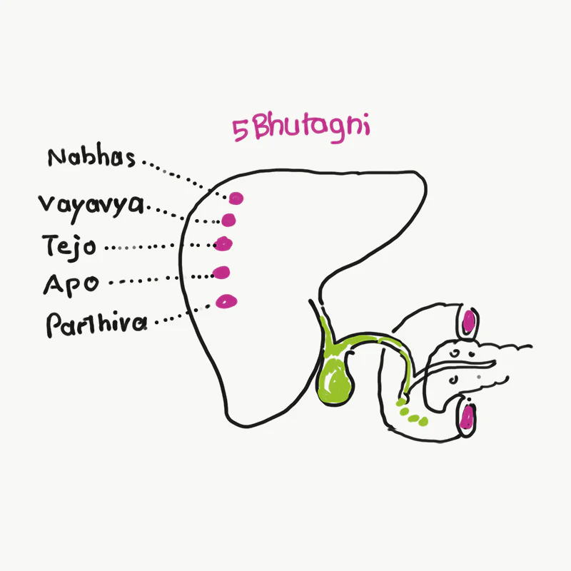 Unburden Yourself: Transform Anger for Liver Health - Image 2